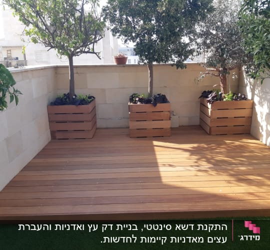 עצים בעציצים מעץ על דק עץ בגינה